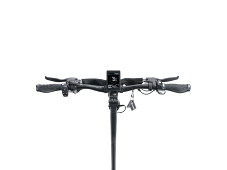 Hiley Tiger EVO